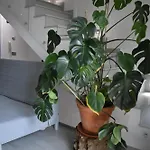 Casa Della Gioia